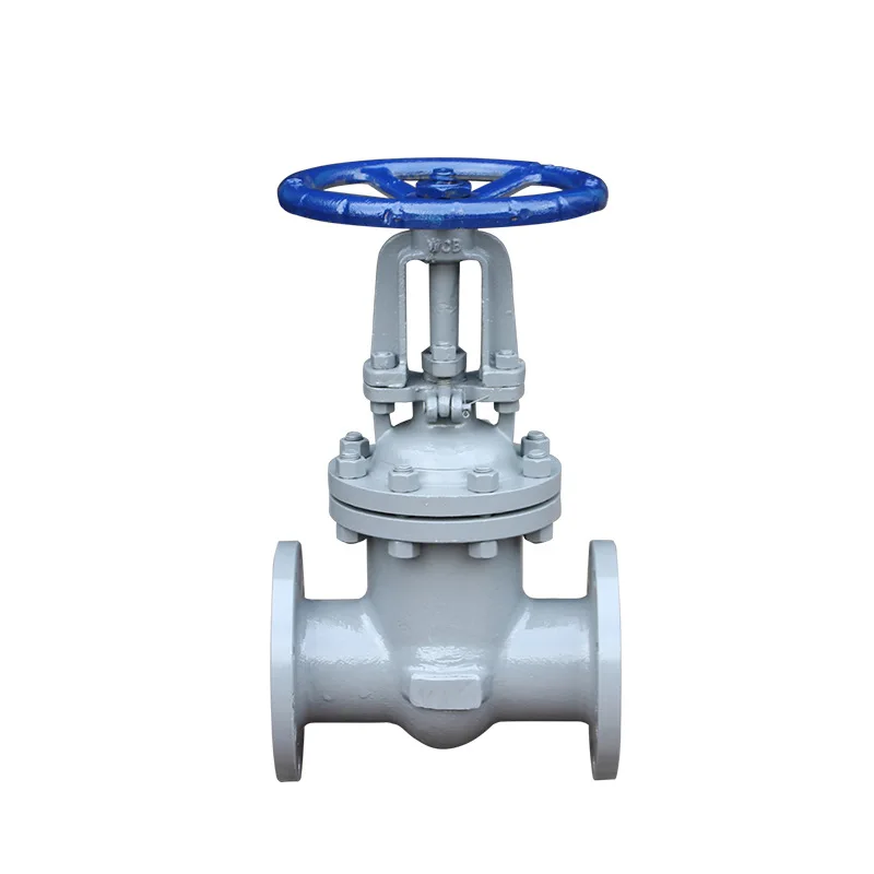 China specializing in the production of high quality valve gate valve cast iron carbon steel DN350 water flange support custom