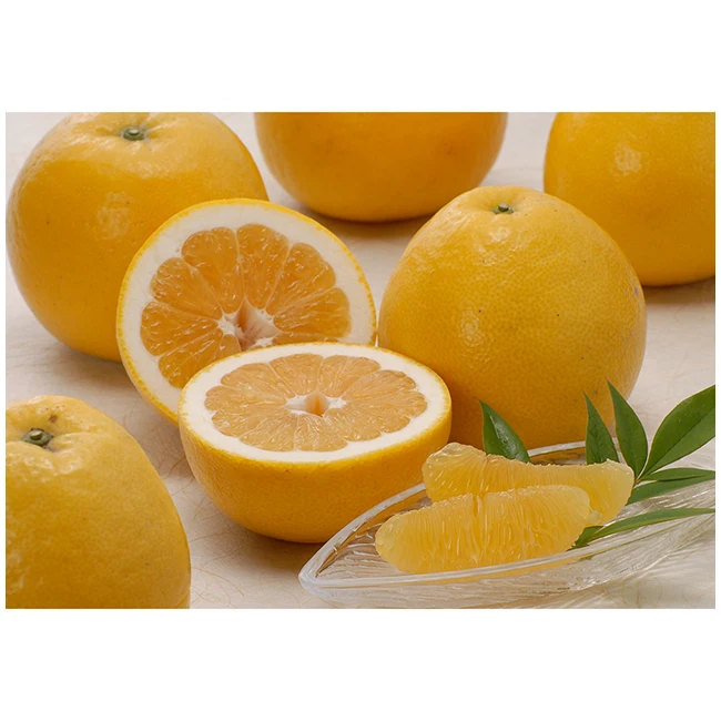 Японские оптовые продажи Мандарин сладкий мандарин растения хорошего качества