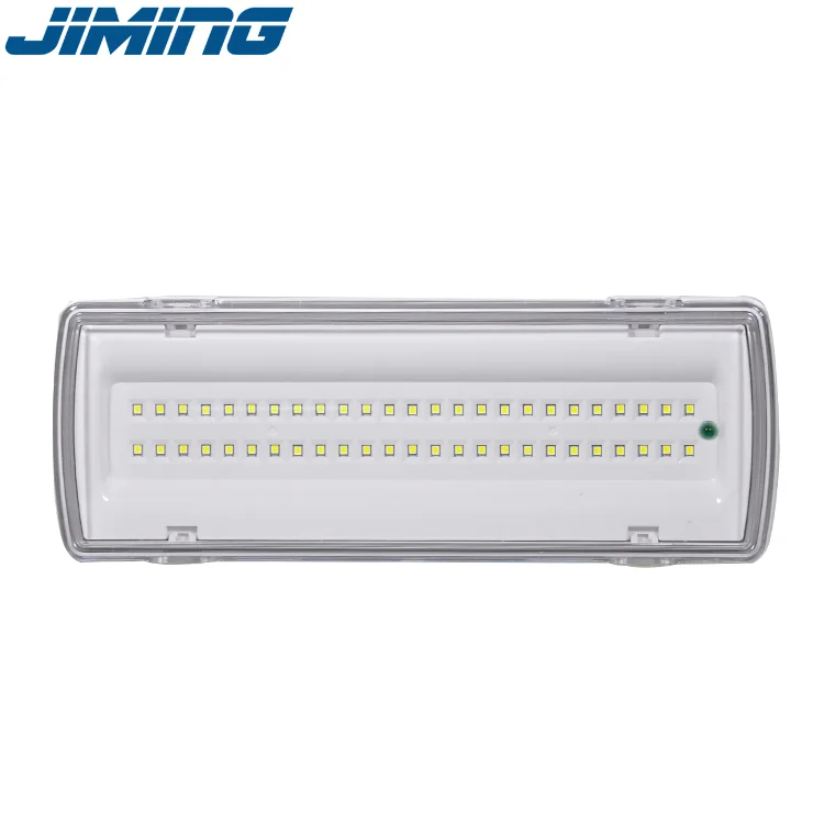 Waterproof Luminaires Emergency LED Lighting Manufacturer 50pcs Led Emergency Light LE507L-50