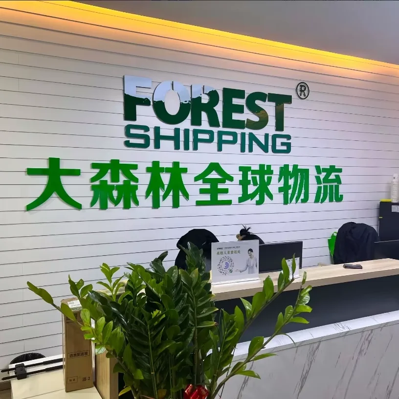 International logistic service sea freight forwarder shipping from China to The United Arab Emirates DDP/DDU term