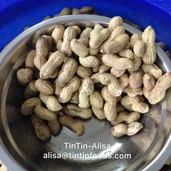 
chinese peanut snacks Roasted peanut in shell 