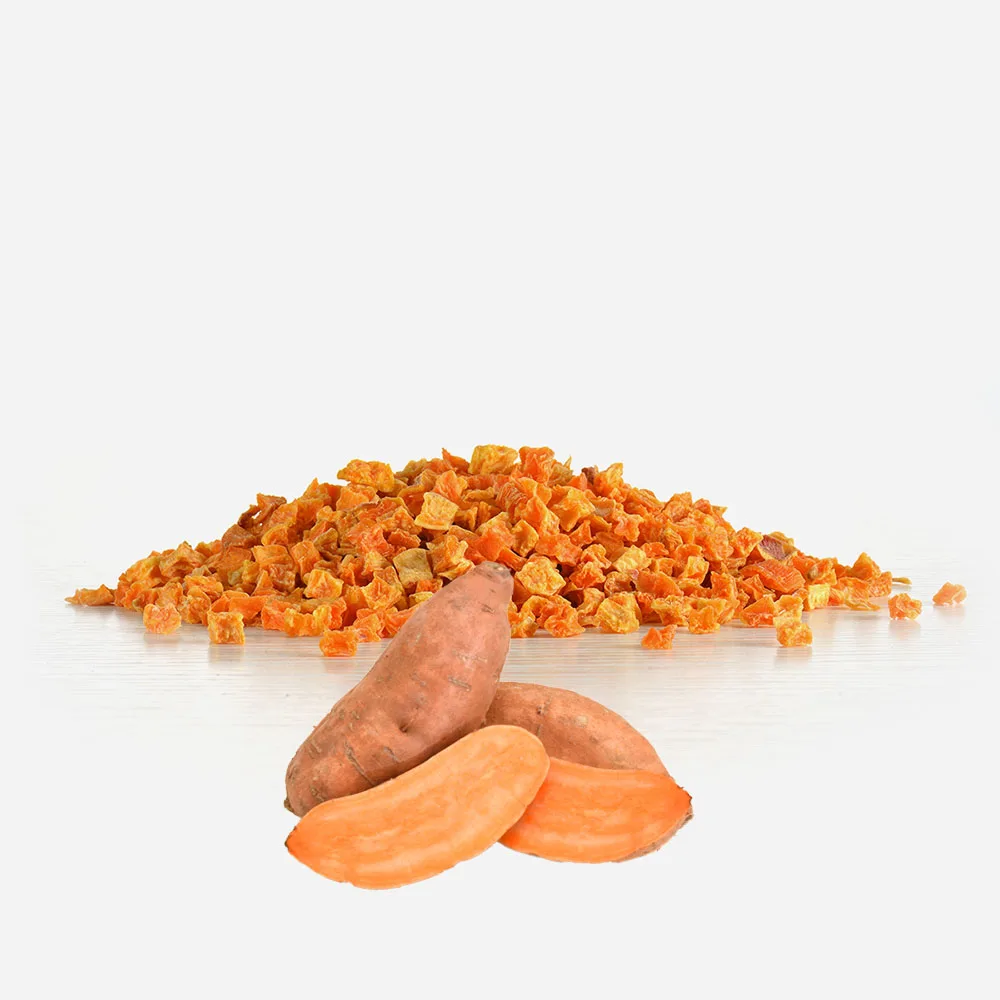 New Crop Dehydrated Vegetable Dried Sweet Potato Granules Orange Color