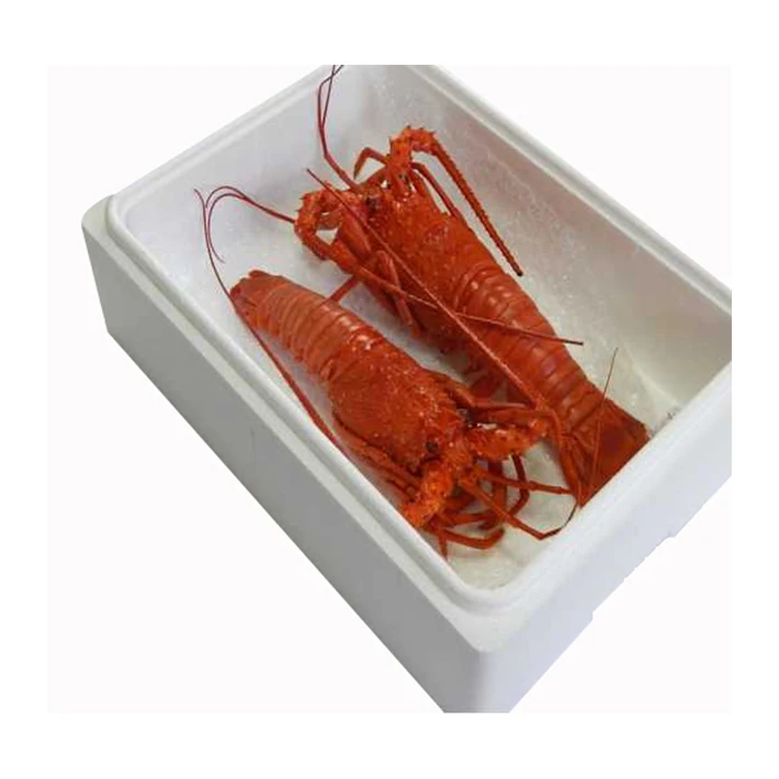 Блюдо с замороженной едой, морепродуктами и лобстерами, японская префектура Ми Хама