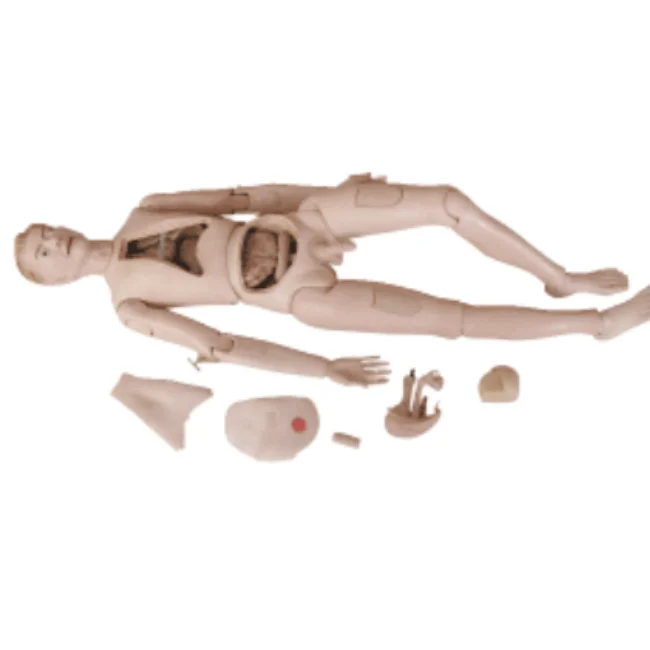 H130A-1 Nursing training manikin Nursing manikin (male)