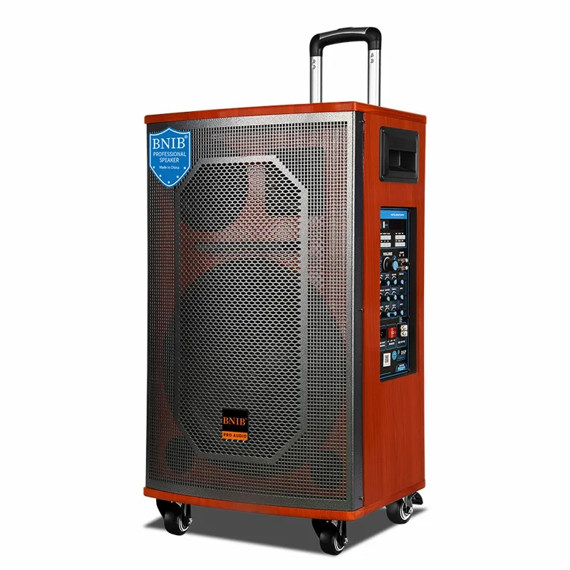 Trending 2022 Speakers Wireless Trolley Speaker Sound Equipment Amplifiers Speaker TF USB MIC ODM