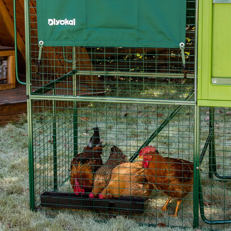Outdoor Waterproof Pet House Plastic Mobile Hen Laying Chicken Coop