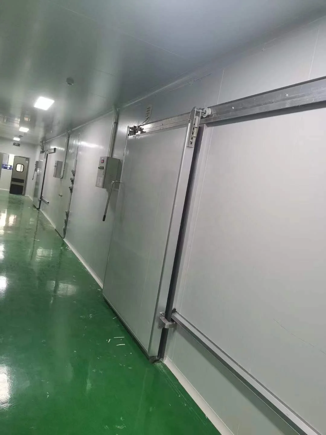 Высокое качество Рыбная холодильная камера прогулка в морозильной камере прохладная комната холодного хранения