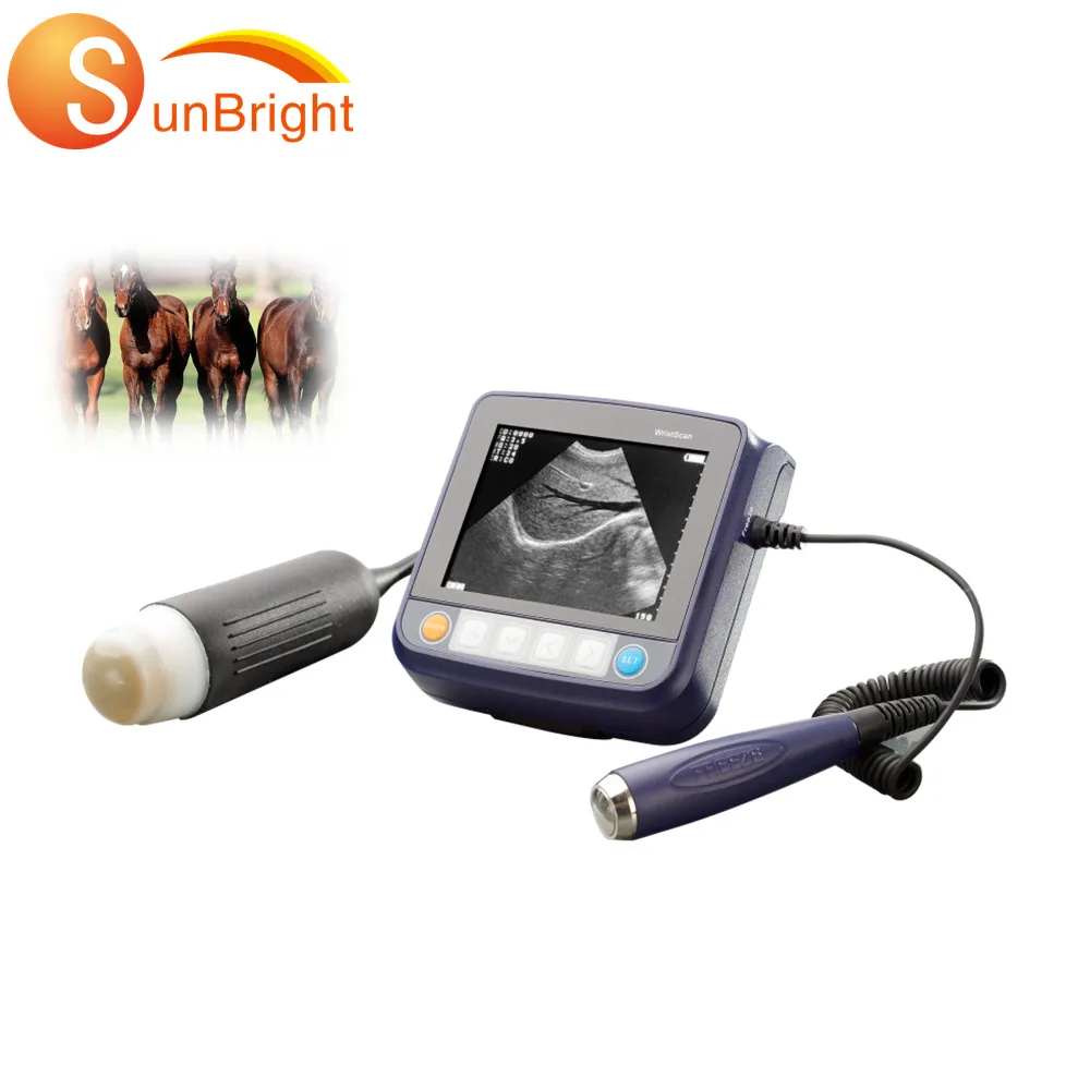 Easy scan pig pregnancy ultrasound scanner veterinary echo for veterinary bovine equipment