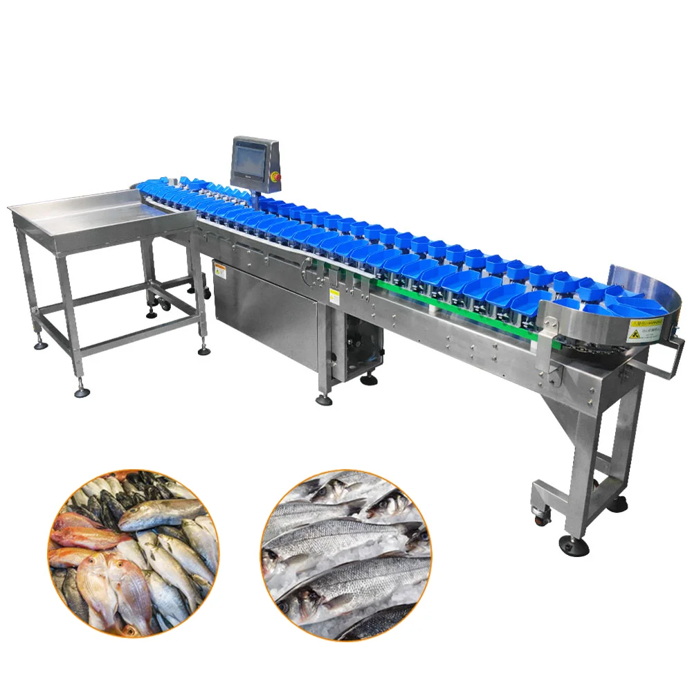 TT-WSM-02 Automatic Weight Sorting Machine Weight Sorter for Mango sorter and fruit sorter