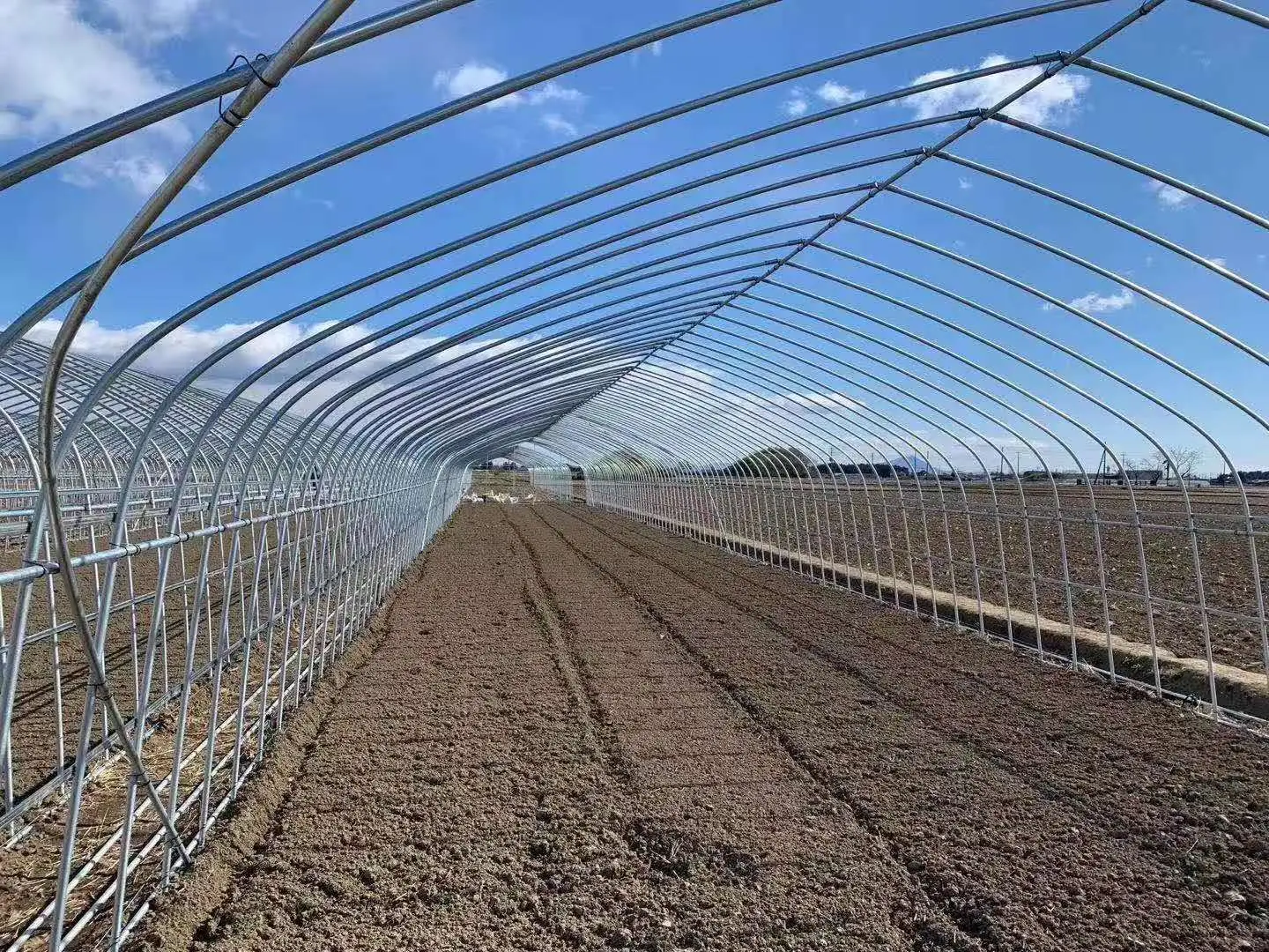 Factory direct price greenhouse frame Agricultural Multi Span Polycarbonate film Complete Set Greenhouse
