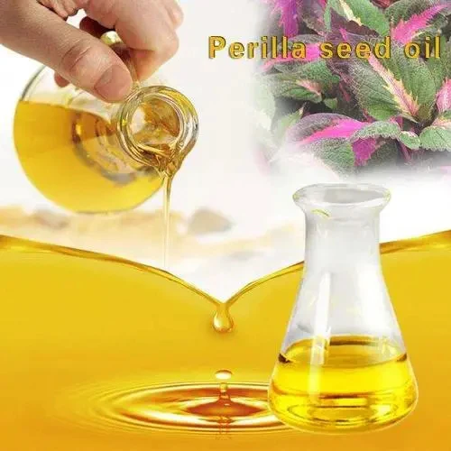 Perilla Seed Oil With High Content Of Linolenic Acid In Medicine And Food
