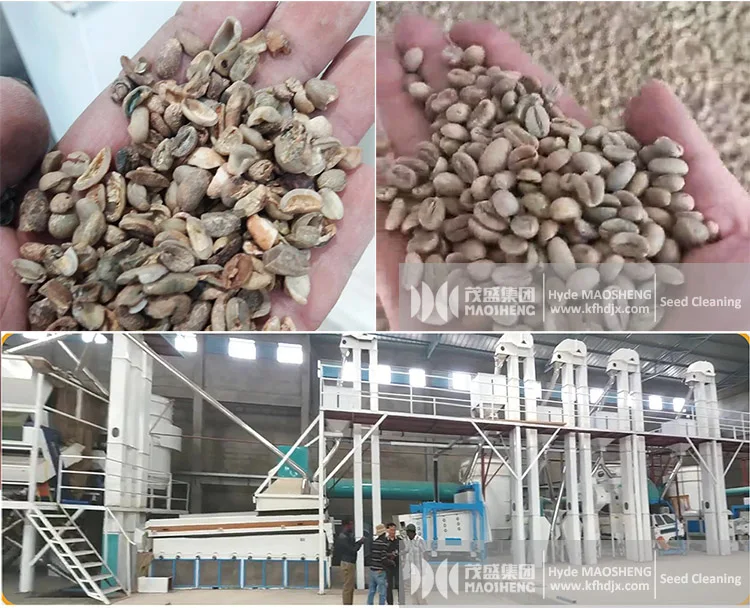 Seed Processing Machine Complete Sorghum Soybean Corn Wheat Rice Seed Cleaning and Processing Plant Rice Destoner Machine