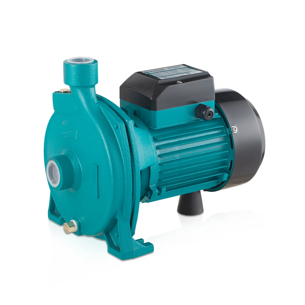 Agricultural AC 1Hp Inline Single Phase Centrifugal Water Pump