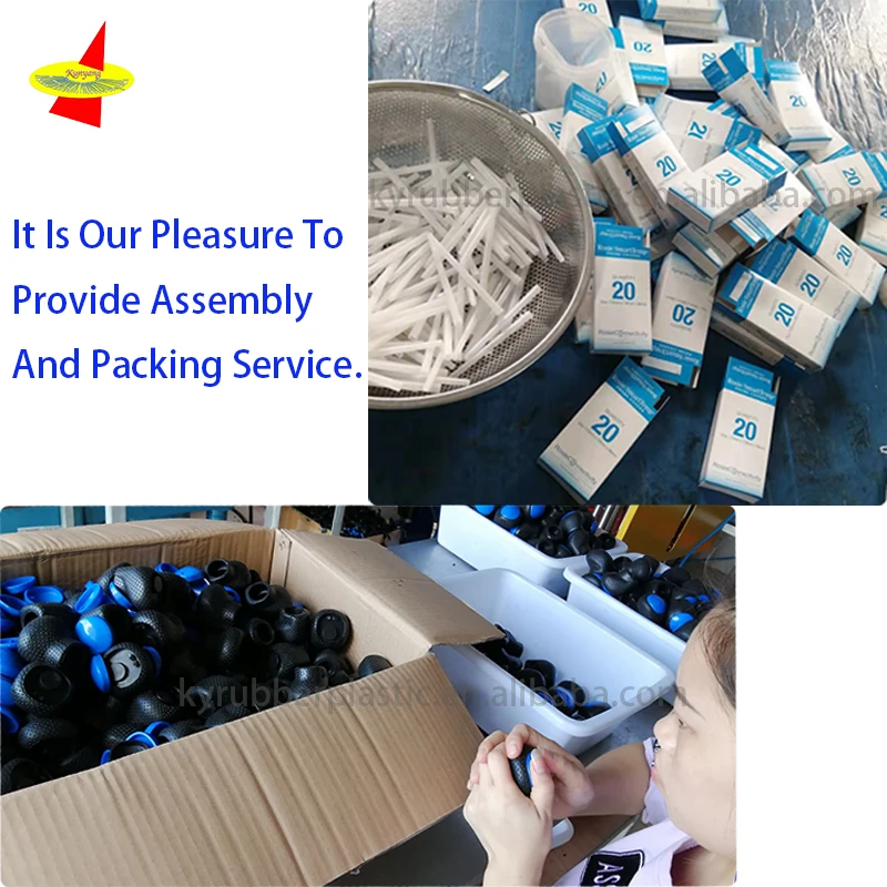 Assembly Packing