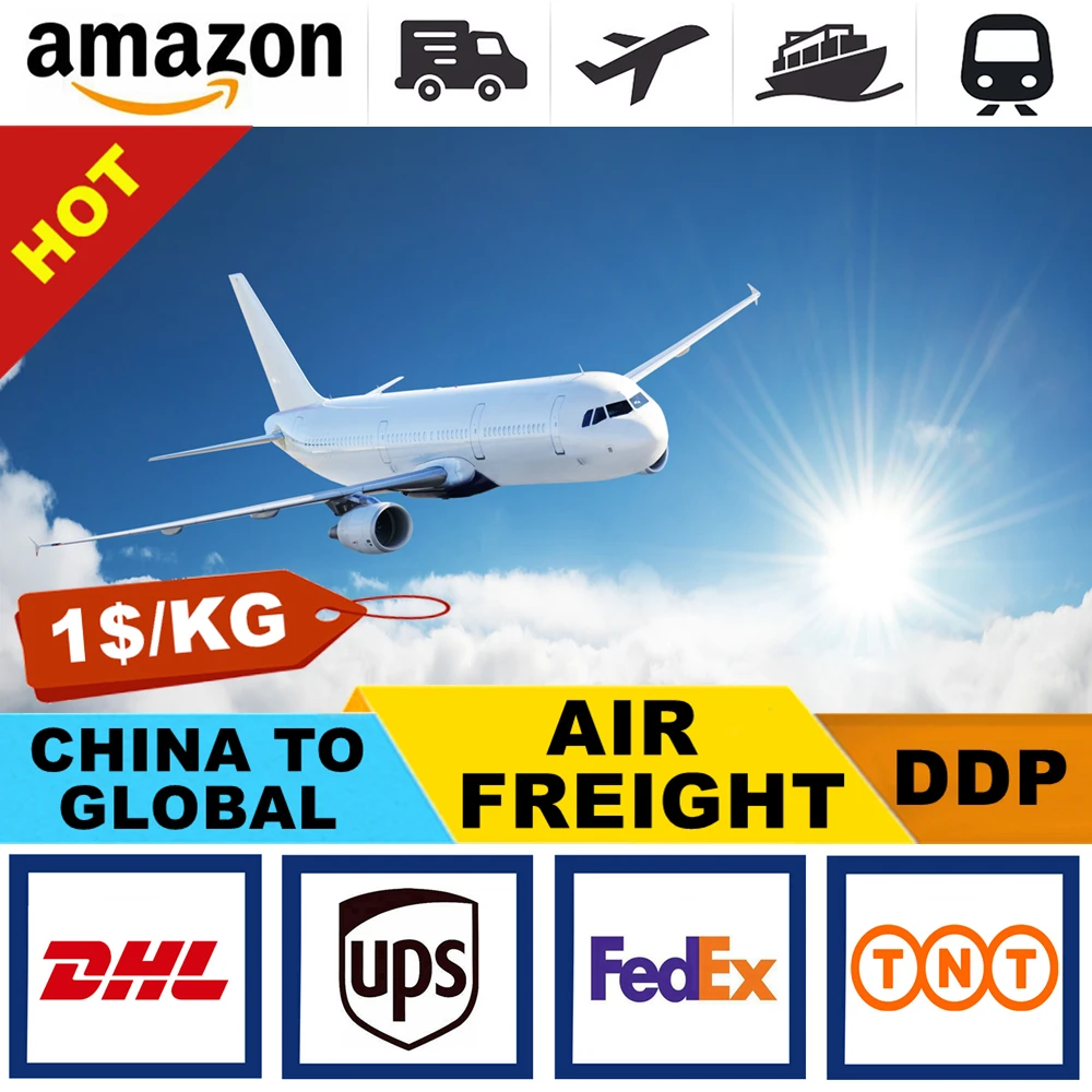 Professional logistics services company international shipping Ebay from China to Argentina