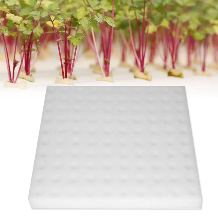 Manufacture Seed Hydroponic Greenhouse Planting Sponge PU Foam Agriculture Cultivation for Vegetables Garden Supplies