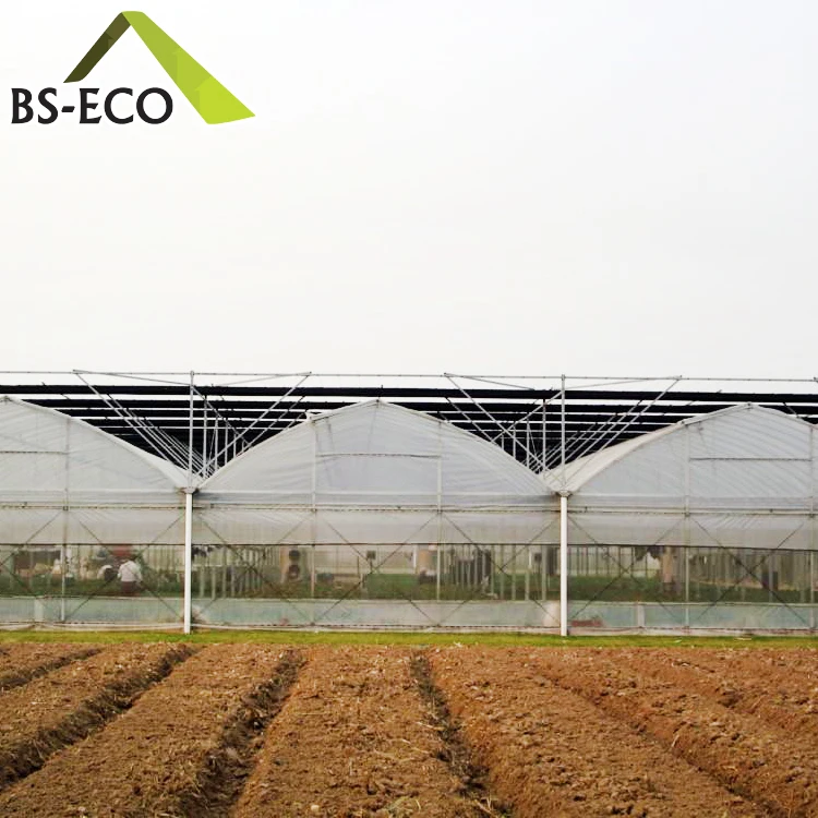 Hot sale agricultural cultivation equipment Steel Structure PO film greenhouse for Breeding/Exhibition/Research/Aquaculture