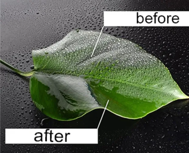 Organosilicone Help Fungicide Pesticide and Herbicide Spread over Leaf Surface