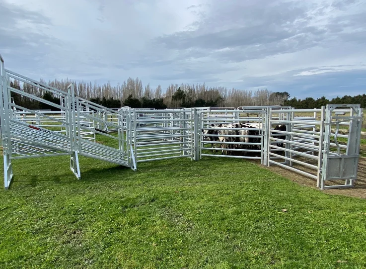 2x2 3x3 Galvanized Cattle Welded Wire Mesh Panel for Farm Gates And Fences