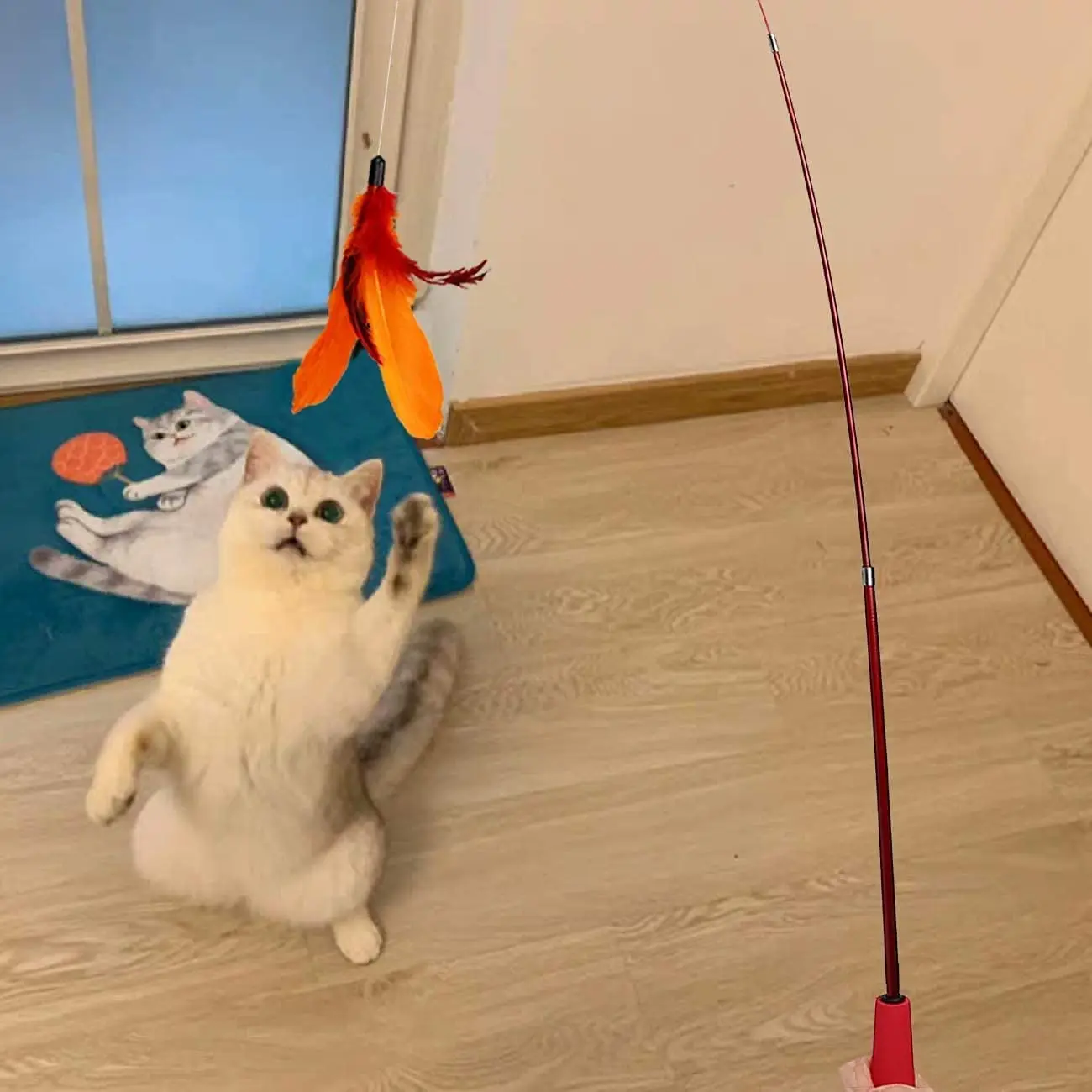 CATT4.jpg