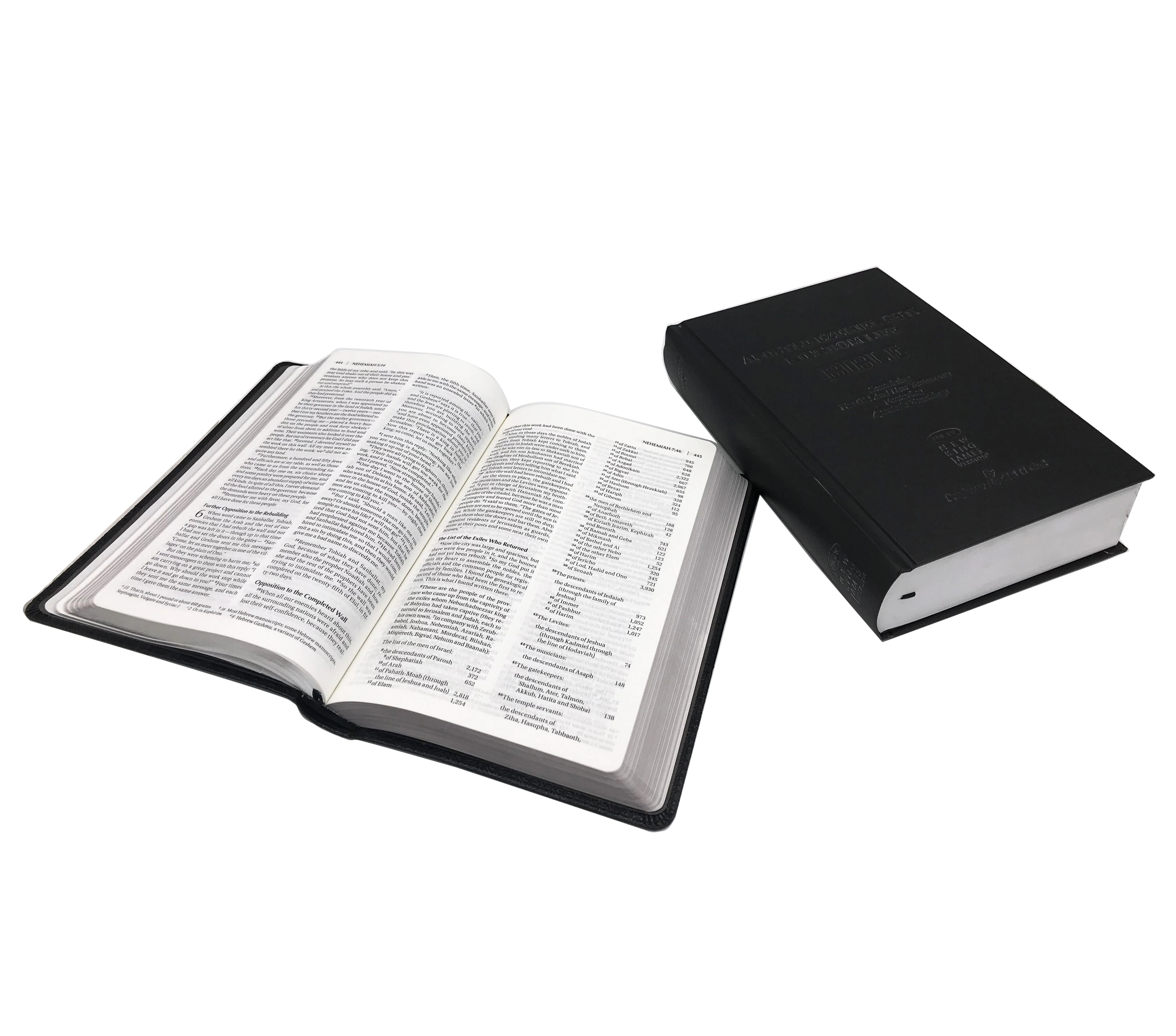 Большая фабричная печать высокого качества niv bible, kjv bible, детская Библия