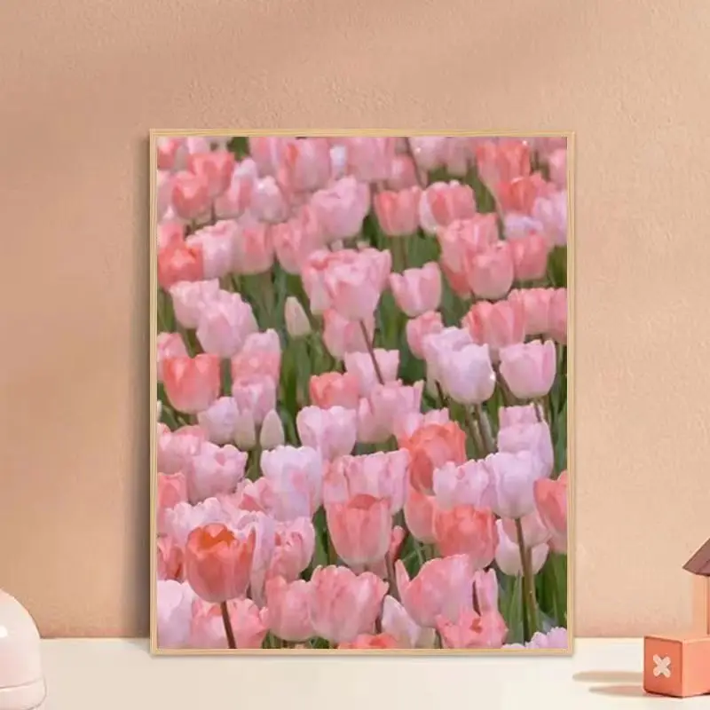 Diy Oil Painting By Numbers  Painting On Canvas With Frame Paint By Numbers For Home Decor Gifts