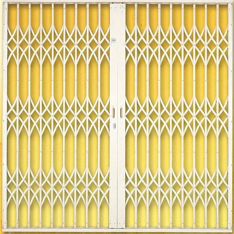 Modern  Retractable Stainless Steel Pull Gates Steel Color Door