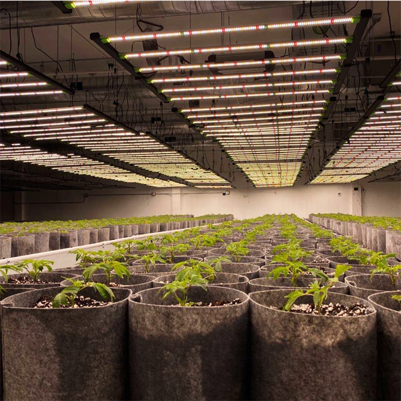 Flexstar светодиодный светильник для выращивания на заказ Samsung Lm301H Evo Mint Uv Ir 5X5 футов 4X4 фута 4X6