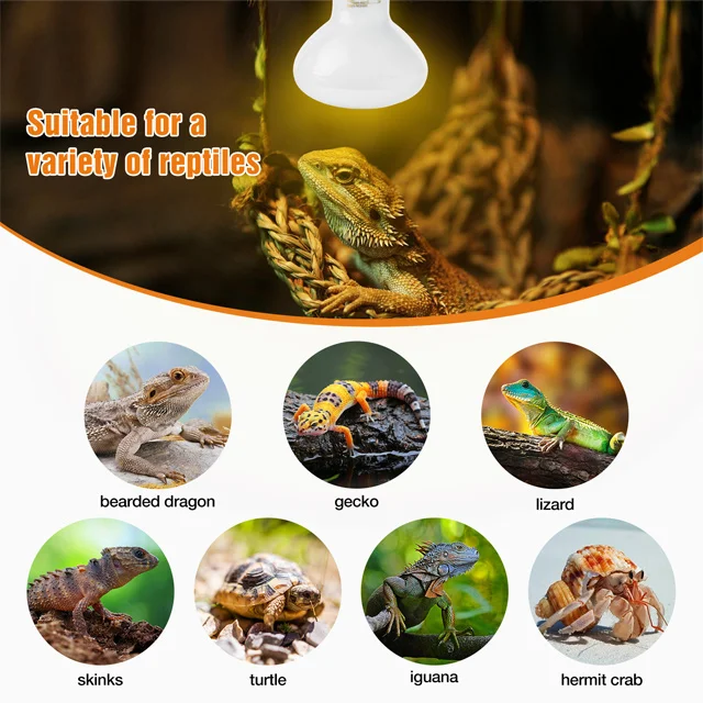 50w 75w 100w 150w Reptile Heat Lamp UVA Daylight Basking Spot Light Amphibians Basking Bulbs Heat Lamps Heat Lamp Bulbs Dragon