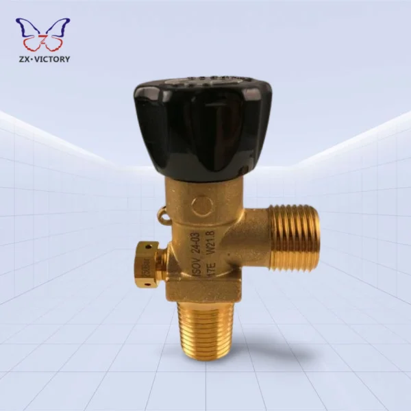 ZX RPV Valve 166.7bar 200bar 17E W21.8 for CO2 Residual Pressure Valve TPED Pi Certified