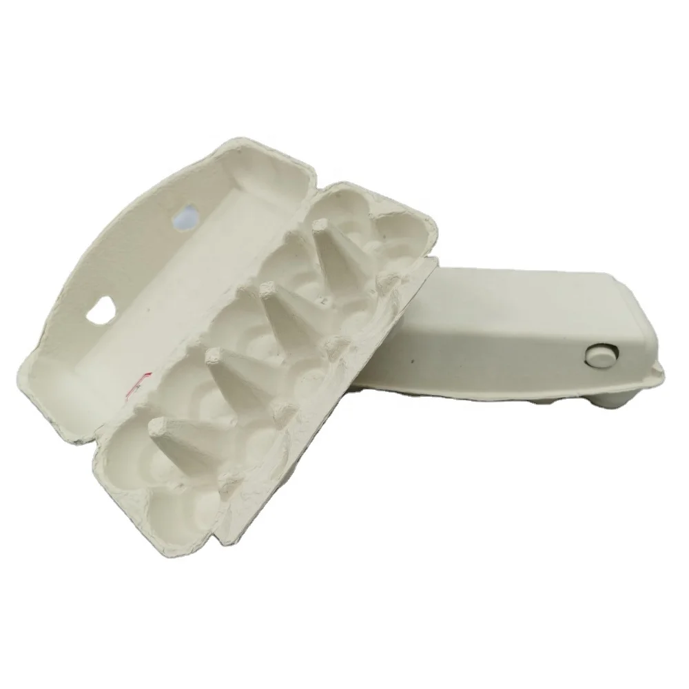 Egg Paper Pulp Boxes 6 8 10 12 15 Hole  Cartons Large Eggs Recycled Cardboard Container