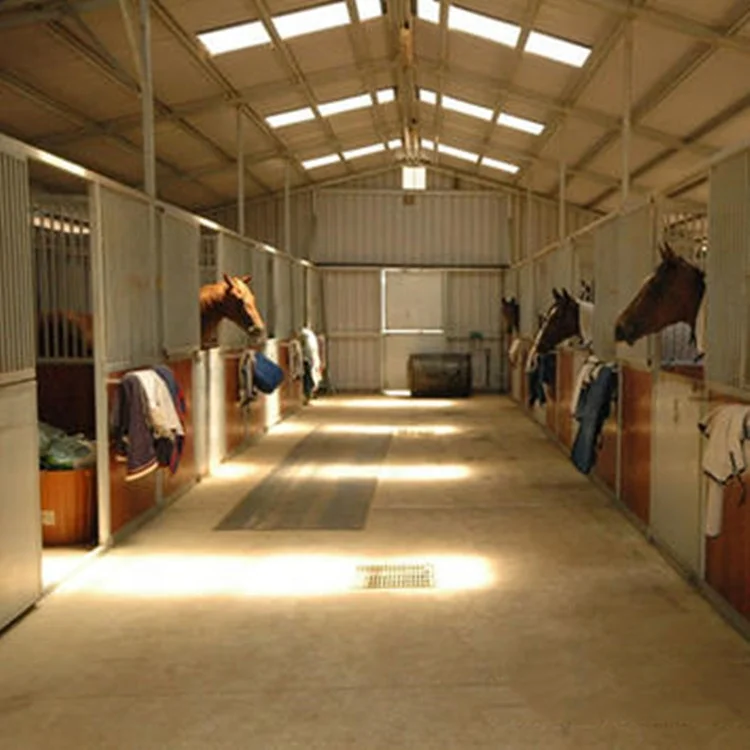 Prefabricated Design Light Steel Structure Stable House