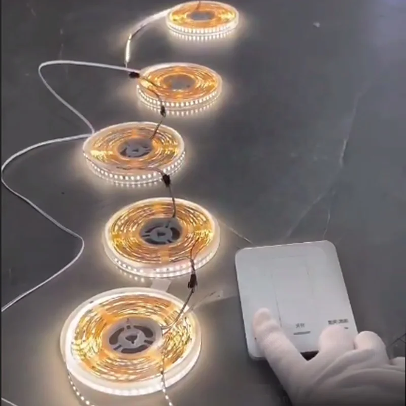 Flexible SMD S2812b 120LEDs/m DC24V 10MM 5m 6000K Cold White Ws2812b