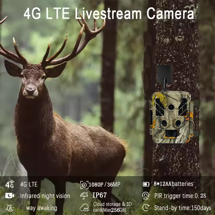 High Quality Waterproof CMOS Sensor Waterproof 2.4 Inch HD Color Display Motion Activated Wildlife Camera for Hunting