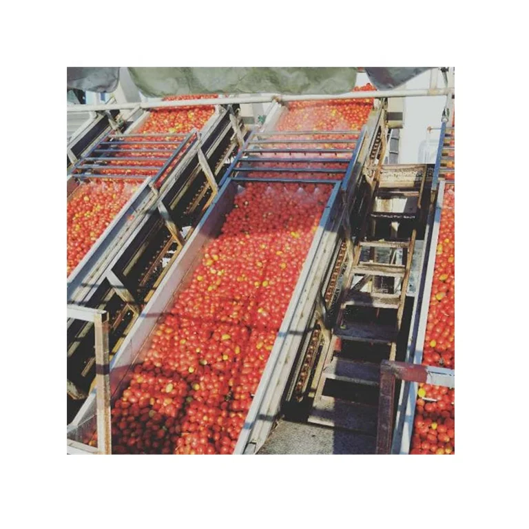 tomato paste 100% purity from factory 70g 210g 400g 800g 2200 best taste export tomato paste tomato puree wholesale