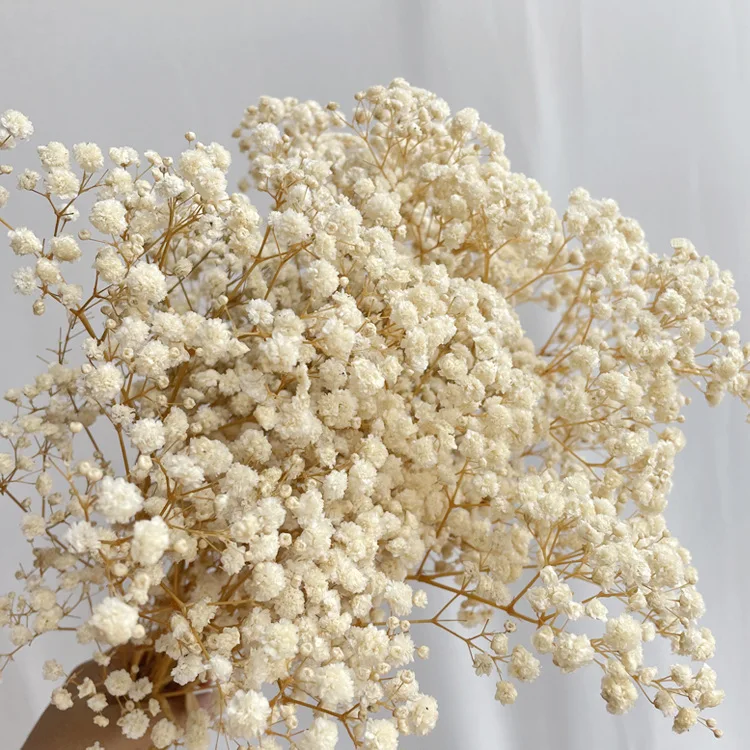 Оптовая продажа консервированные букеты из Гипсофилы сушеные Детские свадебные