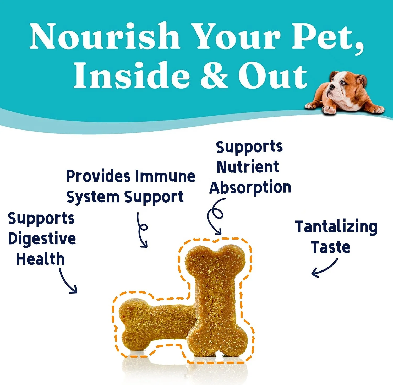 High Quality Probiotics Soft Chews Immunity &amp -  Health Soft Chews Pet Supplements To Increase Appetite