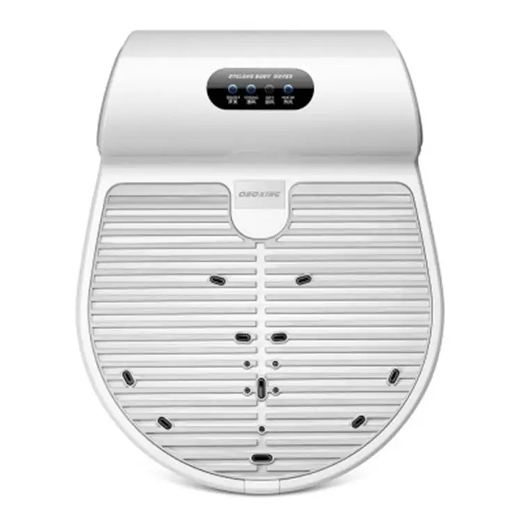 Factory Direct Sale Design Electric Automatic Blow Mini Whole Body Smart Dryer