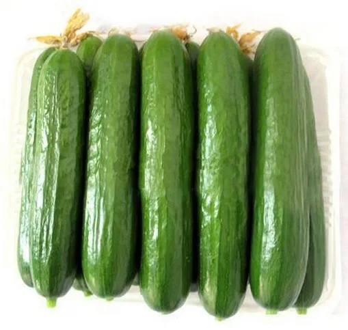 Mi серии высокой плотности Китайский гибридный F1 огурец семена для выращивания