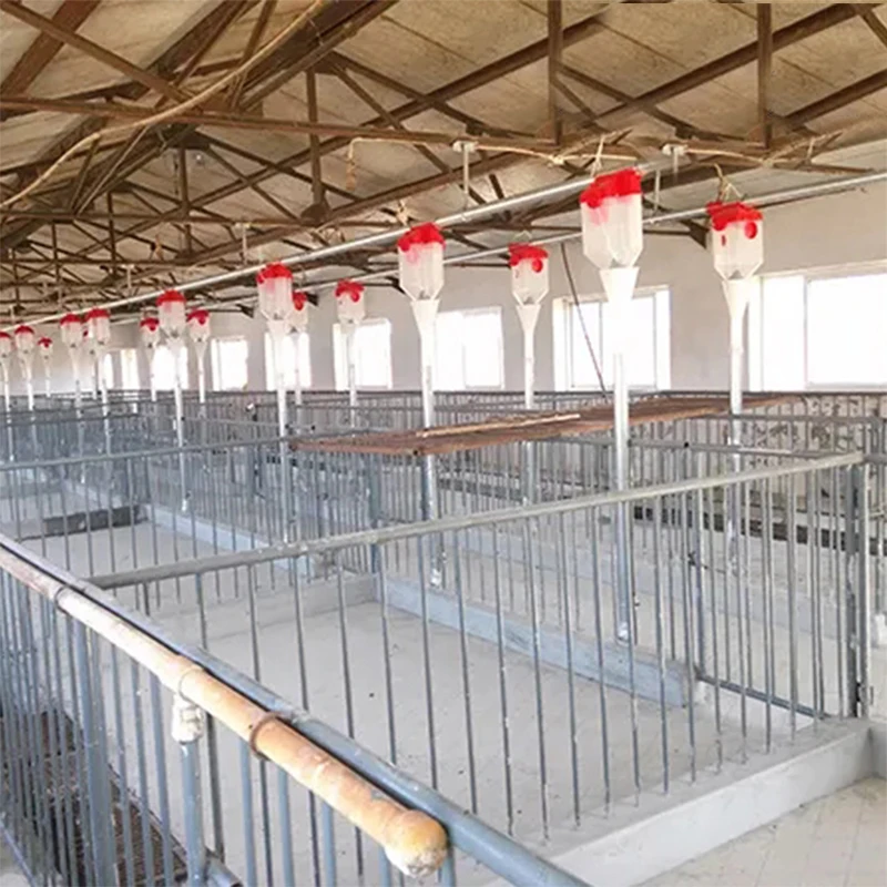 Hot Dipped Galvanizing Stainless Steel Pipe Fattening Crate/Stall for Pig Farming Equipment Animal Cages