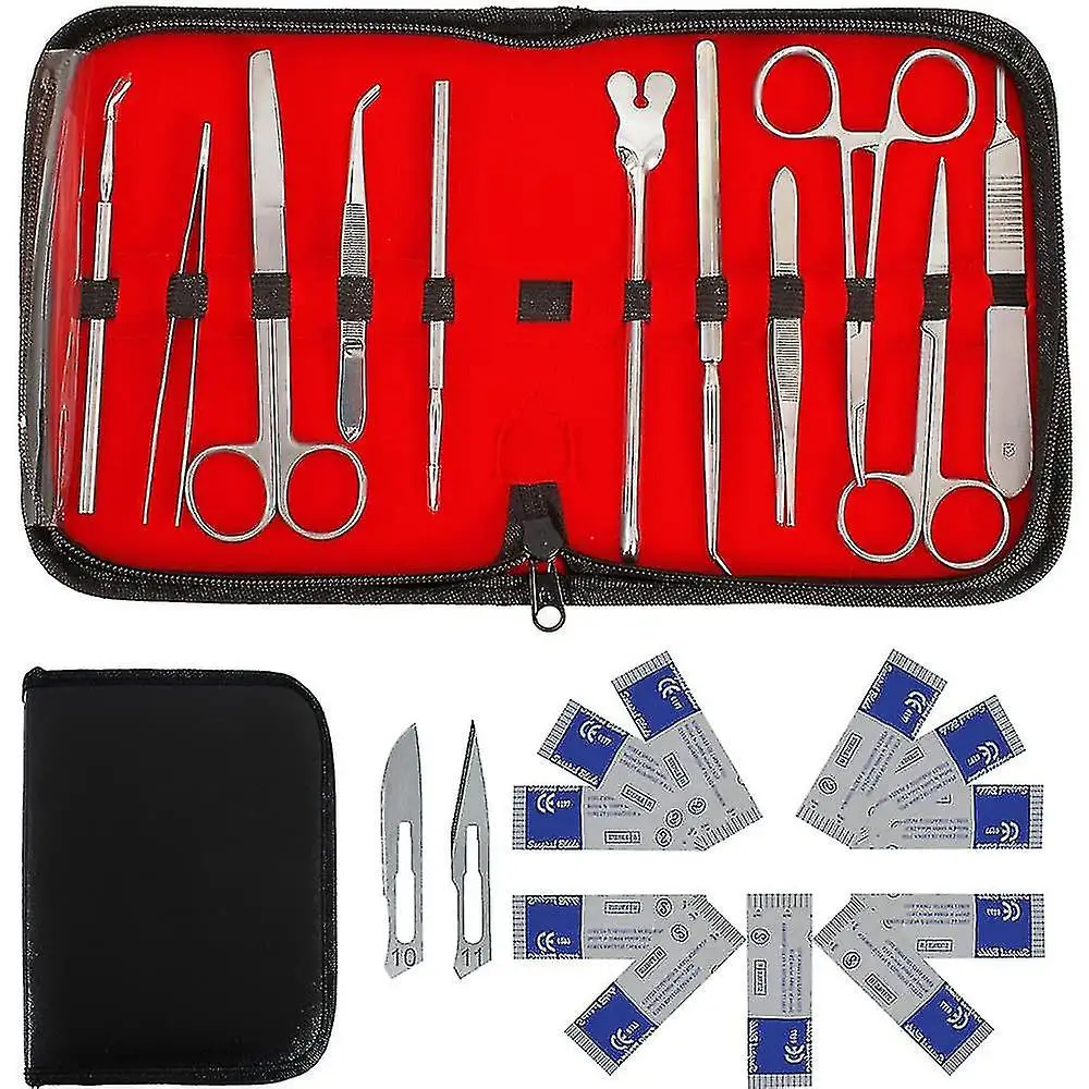Hot sale  Medical Anatomy combination kit Laboratory Hospital