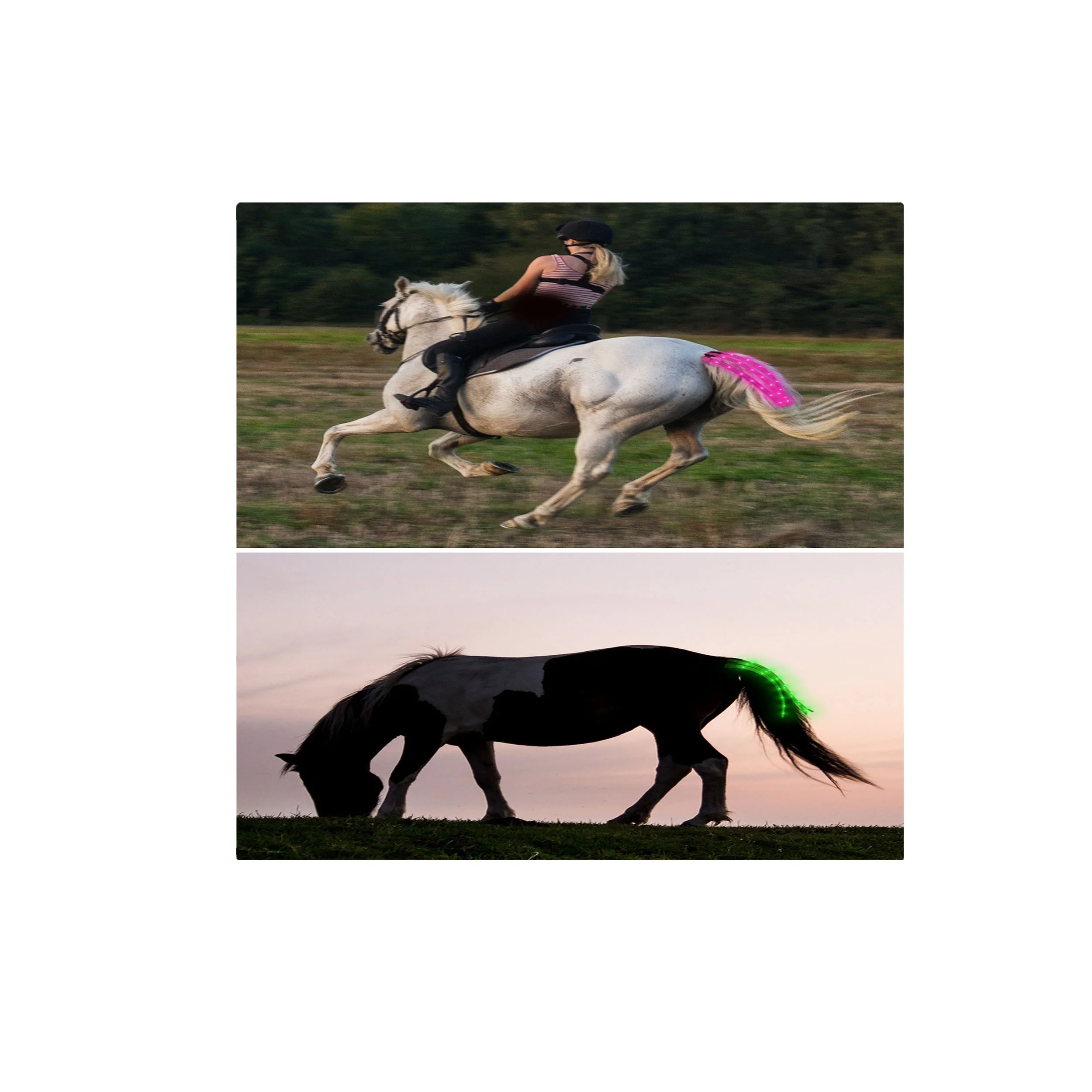 Horse harness equestrian equipment  USB rechargeable LED luminous horse tail light with decorative light