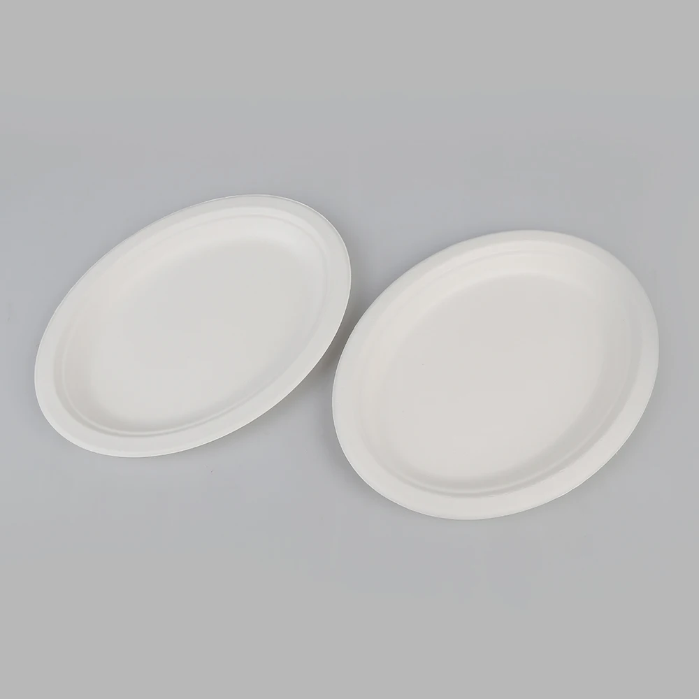Biodegradable Disposable Sugarcane Bagasse oval