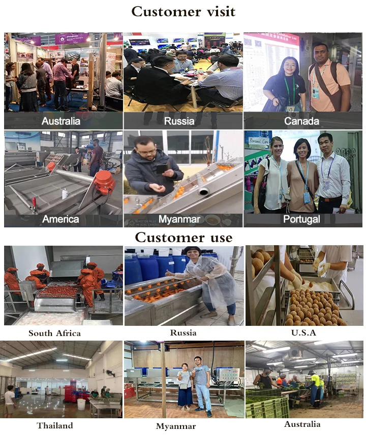 BR CE certified high quality bean skin roll crispy automatic fried onion pork rinds frying machine