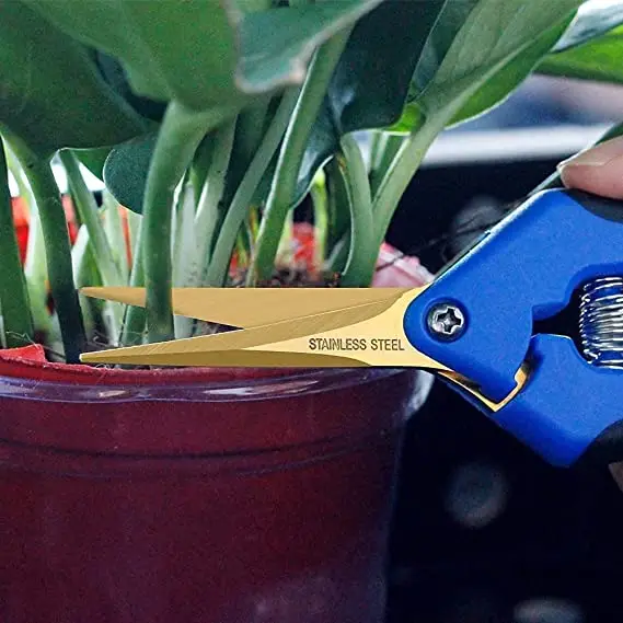 China Cheap  Flowers Herbs Buds Leaves Plant Trimming Scissors Bonsai Pruning Shears