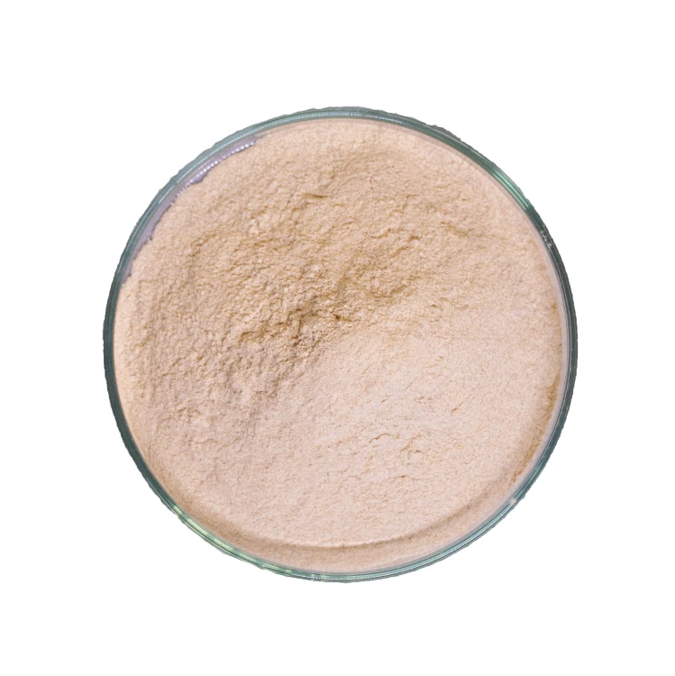 Animal Supplement Probiotics Bacillus Subtilis