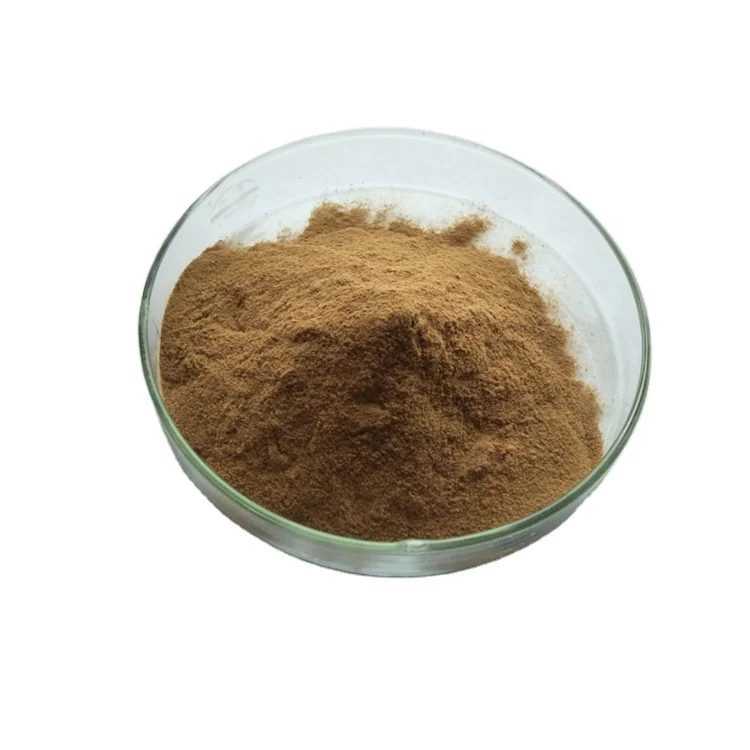 Extract Powder Cassia Seed Extract With Best Price Semen Cassiae