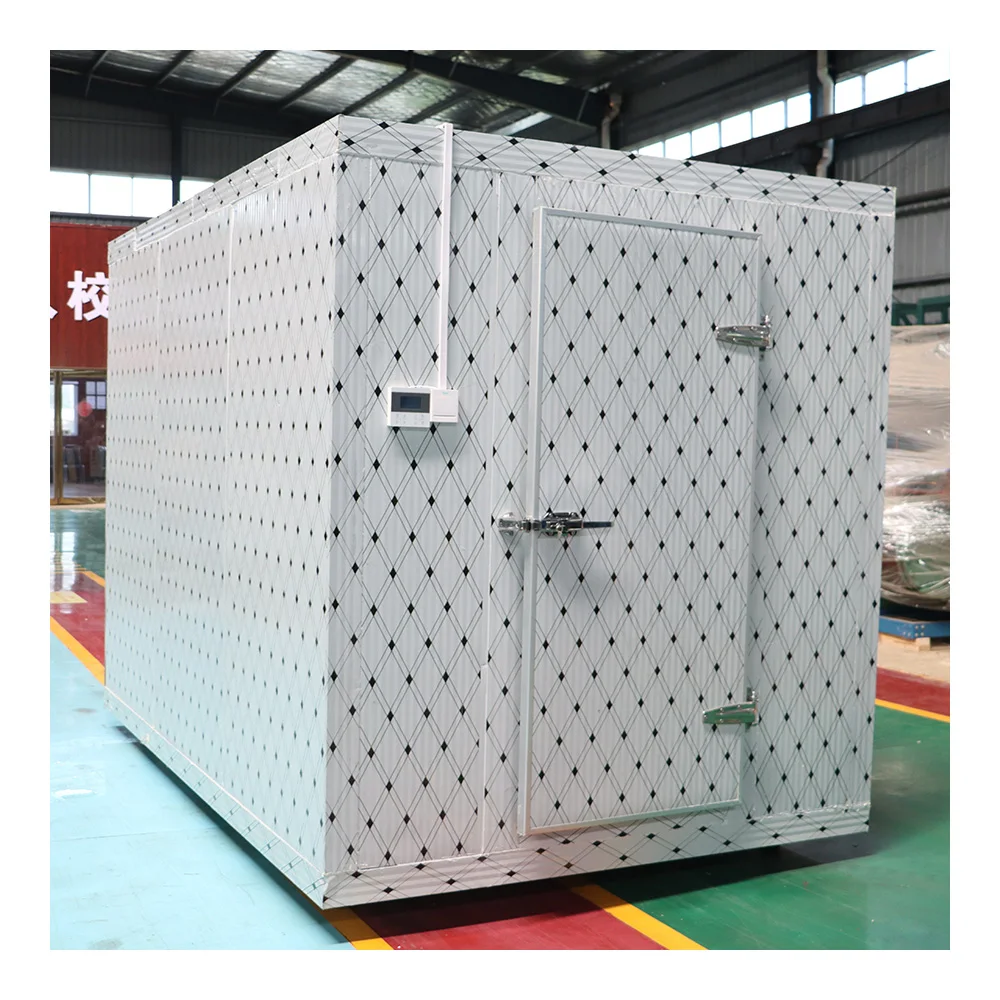 2024 hot selling fruits chiller meat chicken freezer refrigeration equipment cold room