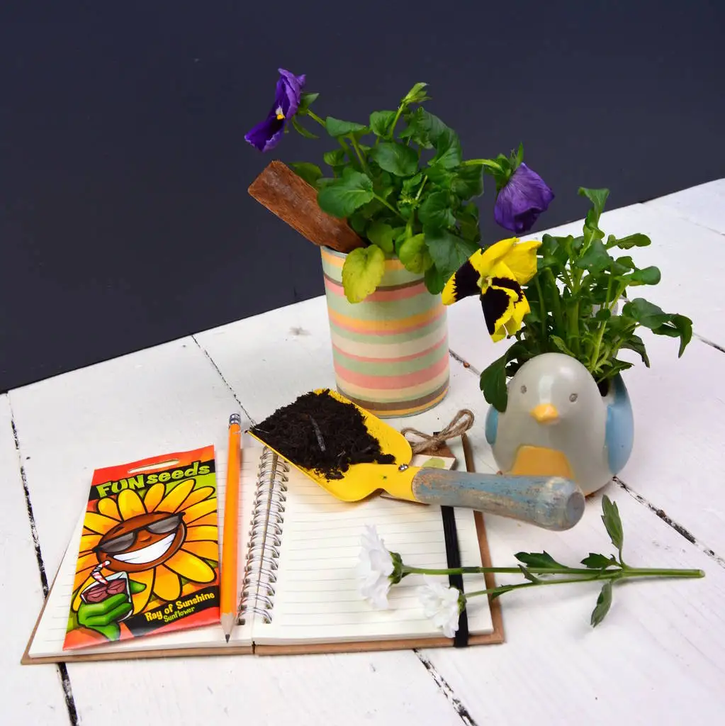 Indoor Coffee Coco Material Processing Plant Coffee Cup and Other Hand Tools Box Garden  Bird Christmas Gift for Kids