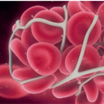 DSC Niton Analyzer Cobas C111 Analyzer Immunoassay Analyzer